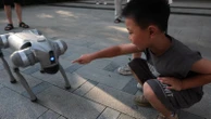 Robo-dog maker surprised as its machines fitted with guns and used in military drills
