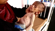 Bob Geldof accuses Israeli authorities of 'lying' about Gaza famine