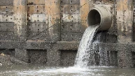 Why aquatic life is facing a double whammy as sewage overflows spill into rivers
