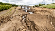 Amber health alert issued as report says England is facing driest start to a year since 1976