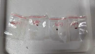 Chinese nationals accused of smuggling 'agroterrorism' fugus into US, FBI says