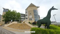 Police investigating 'unexplained' death of injured baby boy