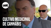 Bolsonaro comenta PL399, do cultivo medicinal de Cannabis: "não precisa plantar maconha em casa"
