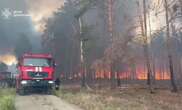 На Донеччині масштабна лісова пожежа: щоб зупинити вогонь, залучений тактичний робот