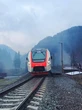 Укрзалізниця збільшує кількість днів курсування поїздів по популярних туристичних напрямках: що відомо
