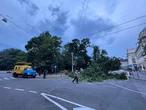 Відключення світла, повалені дерева: у Львові вирує негода