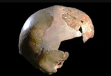 Ймовірна дитина неандертальця і Homo sapiens: дослідження змінює розуміння міжвидових контактів давніх людей