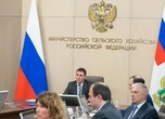 На ТОТ окупанти встановили контроль за кожним гектаром землі через "моніторингові комісії" - ЦНС