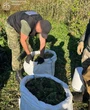 У заповіднику Вінницької області підпільна лабораторія виготовляла наркотичні речовини