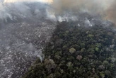 Пожежі в Амазонії торік спричинили безпрецедентну глобальну втрату лісів - дослідження