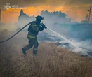 В Україні за добу сталося 265 природних пожеж, на Херсонщині через атаку рф горіло пшеничне поле