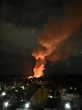 Масштабна пожежа у російському зоопарку: загинули лами та альпаки