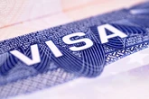 Трамп встановив "плату" 100 тис. доларів за робочі візи США для іноземців: переваги, недоліки, підводні камені