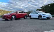 Tesla представила доступніші версії Model 3 та Model Y Standard: але чи достатньо низькі ціни