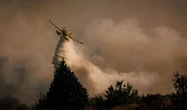 Португалія та Іспанія у вогні: десятки пожеж знищують ліси, Лісабон просить допомоги Європи