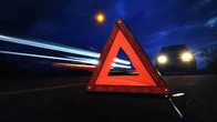 На Київщині Lexus збив лося: водій загинув, пасажир у тяжкому стані