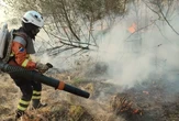 Пекельна спека охопила Португалію: країна бореться з трьома масштабними лісовими пожежами