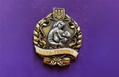 "Мати-героїня" у воєнний час: що стоїть за цим почесним званням і яку підтримку отримують багатодітні матері