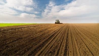 Посівна-2024: в Україні засіяли понад 90% запланованих площ