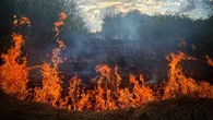 У Києві палають Совські ставки: вогонь охопив 800 квадратних метрів