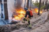 Вогонь знищив понад 5 тисяч га: надзвичайники локалізували масштабну лісову пожежу на Донеччині та Харківщині