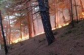 Під Геленджиком після атаки безпілотника горить ліс за кілометр від виноробні путіна