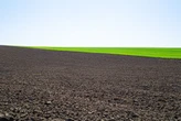 Настав час вилучити українські землі з корупційного управління НААН і віддати їх воїнам ЗСУ - експерт
