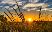 Україна завершить серпень як одна із найспекотніших країн Європи - метеорологиня