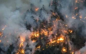 Іспанія оголосила 16 регіонів зонами стихійного лиха через масштабні лісові пожежі