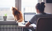 Більшість європейців не готові до зниження зарплати заради роботи з дому - ЄЦБ