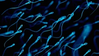 Коли сперма починає "псуватися": вчені визначили небезпечний вік для батьківства