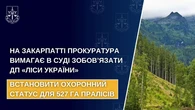 На Закарпатті прокуратура вимагає в суді зобов’язати "Ліси України" встановити охоронний статус для 527 га пралісів