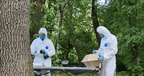 Ексгумаційні роботи у польському селі Юречкова розпочнуться 30 вересня - МЗС
