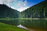 Колишній чиновник Держземагентства незаконно втратив 36,5 га земель "Синевиру": йому оголосили підозру