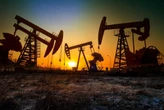 Ціни на нафту стабільні на тлі очікувань даних інфляції в США та звіту ОПЕК