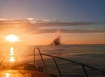 Вибух судна біля берегів Одеси: ВМС розбираються із ситуацією