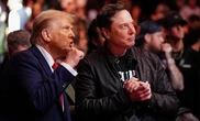 Суперечка між Трампом і Маском обвалила акції Tesla, ринкова вартість яких впала на 150 млрд дол