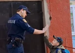Служба освітньої безпеки: понад 1600 офіцерів СОБ вже у школах - Клименко