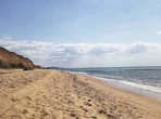 Вода на понад 20% пляжів в Україні не відповідає санітарним нормам: МОЗ оновив список, де можна і де не бажано купатися
