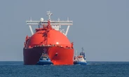 Катар погрожує Європі скороченням поставок зрідженого газу: ЗМІ роз'яснили, чому
