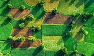 росія хоче картографувати ТОТ, щоб закріпити контроль над захопленими землями - Служба зовнішньої розвідки