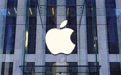 Apple нарощує виробництво iPhone в Індії: уряд країни називає це розумним економічним вибором для виробників