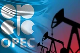 ОПЕК+ готує невелике підвищення видобутку нафти в грудні – делегати