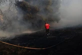 Лісова пожежа на околиці Афін локалізована, але евакуація триває через сильний вітер