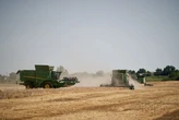 Ціна тонни українського агроекспорту зросла на 40%: за скільки продають олію та зерно