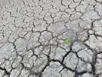 Маріуполь на межі водної катастрофи: Старокримське водосховище майже висохло