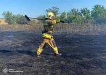 Масштабна хвиля пожеж у Миколаївській області: 57 займань за добу, одне - через обстріл