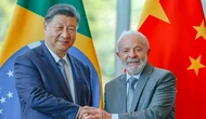 Сі Цзіньпін і Лула виступили проти "протекціонізму" США та закликали до єдності країни глобального Півдня