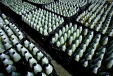 Рада ухвалила законопроєкт про державно-приватне партнерство, що сприятиме розвитку спільного виробництва зброї