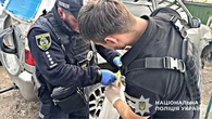 Били 16-річного та фільмували знущання на телефон: на Київщині трьом чоловікам повідомили про підозру